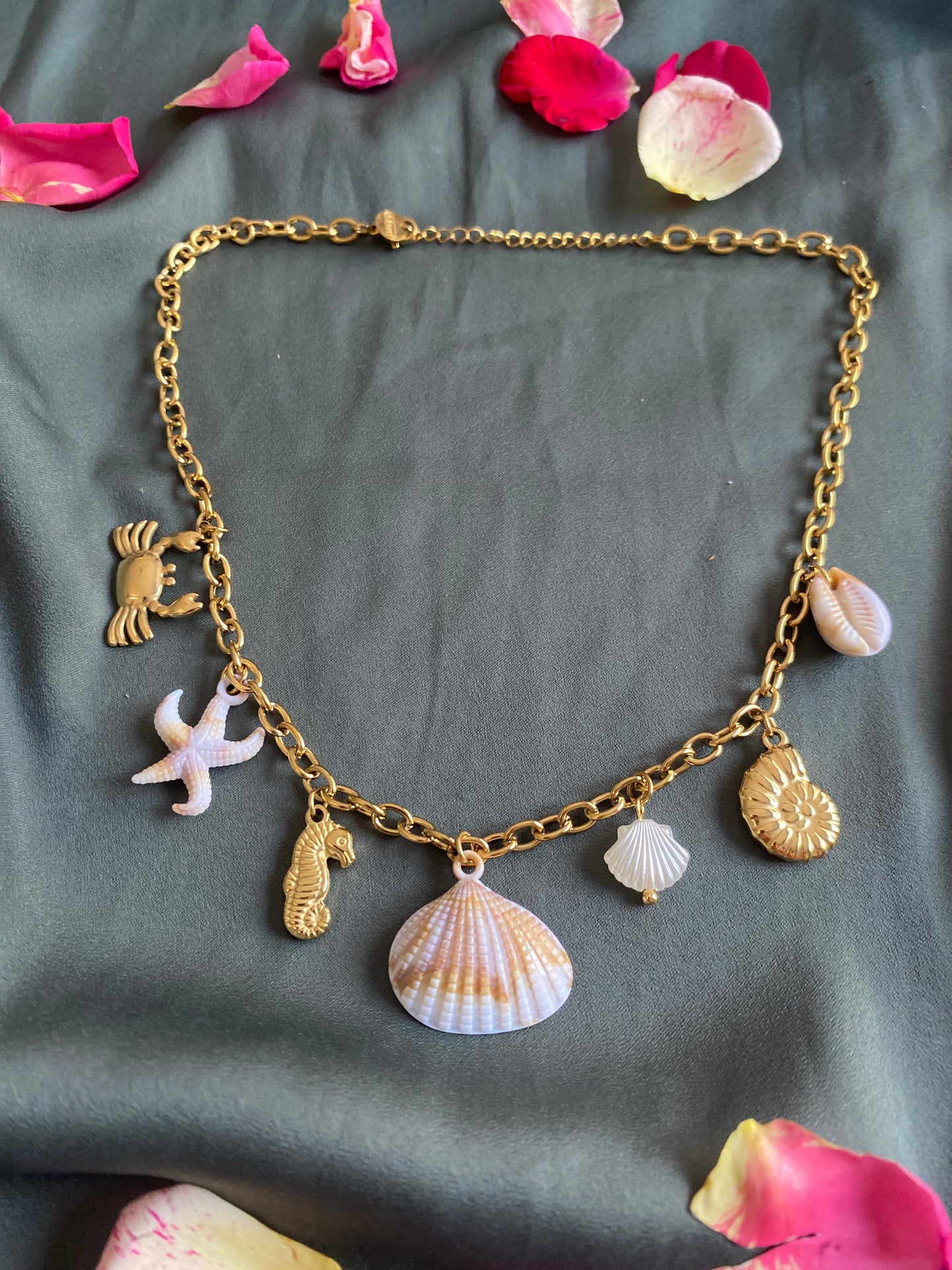 Collier coquillages